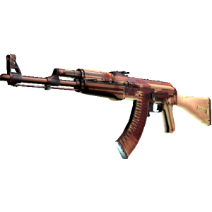 AK-47 | X Ray (Well Worn)