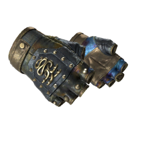 Hydra Gloves | Case Hardened (Field-Tested)