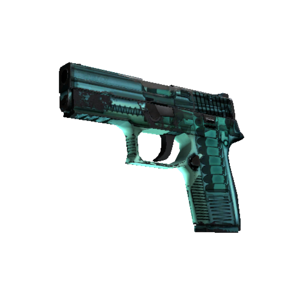 P250 | X Ray (Field Tested) P250 | X Ray (Field Tested)