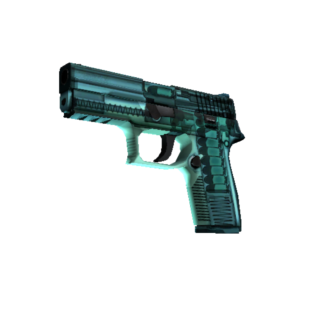 P250 | X Ray (Minimal Wear) P250 | X Ray (Minimal Wear)