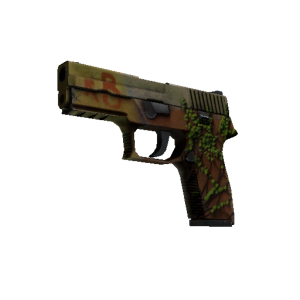 StatTrak™ P250 | Inferno (Battle-Scarred)