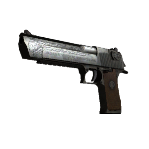 Stattrak ™ Desert Eagle | NAGA (Field-Tested)